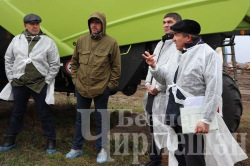 “Ильхан” җәмгыятендә бер сыер елга 300 мең сум файда китерә