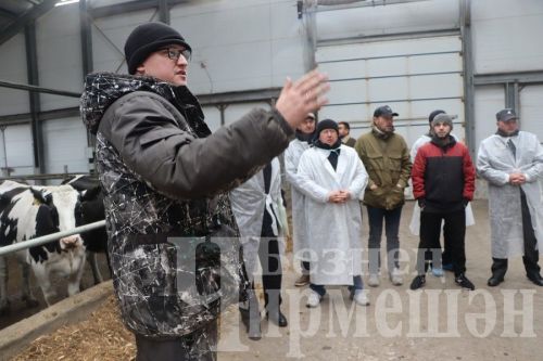 “Ильхан” җәмгыятендә бер сыер елга 300 мең сум файда китерә