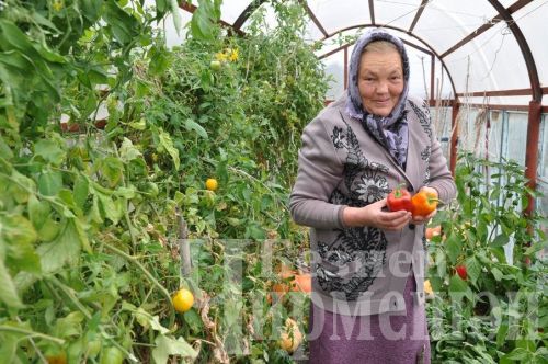 Лагерка ветераны, умарталар тыңлап, китап яза