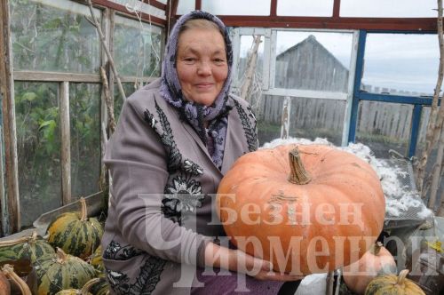 Лагерка ветераны, умарталар тыңлап, китап яза