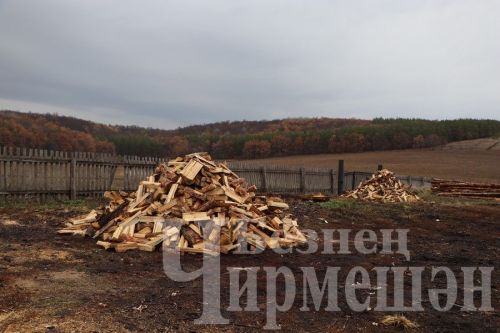 Чирмешән районыннан Лисичанскига такта җибәрделәр