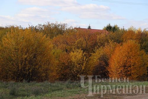 Татарстанда атна ахырына көндезге температура +10 градуска кадәр төшәчәк