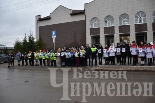 Чирмешәндә юл-транспорт һәлакәтләре корбаннарын искә алдылар