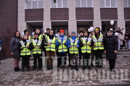 Чирмешәндә юл-транспорт һәлакәтләре корбаннарын искә алдылар