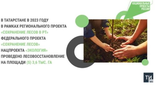 Татарстанда 2023 елда илкүләм проект буенча 3,6 мең гектар урманнар торгызылган