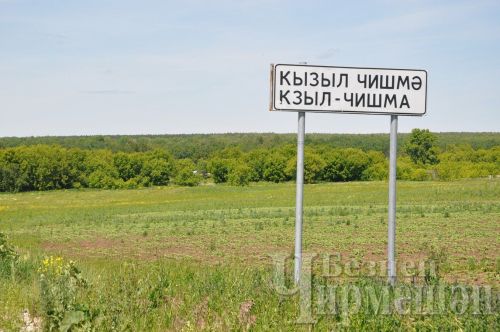 Кызыл Чишмәдә яшәүче берәүнең хуҗалыгыннан егермеләп патрон алганнар