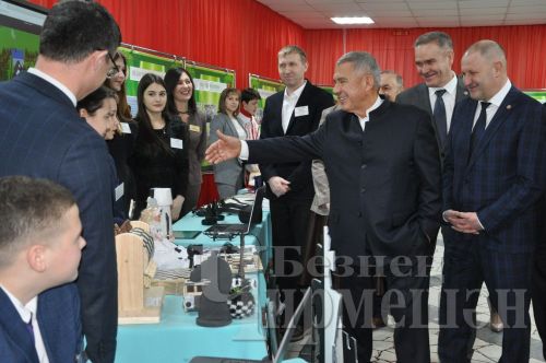 Татарстан Республикасы Рәисе чирмешәнлеләргә авыл хуҗалыгы күрсәткечләрен яхшыртырга кушты