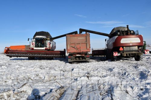 Чирмешән районының «Тепсуркаев В.Ә.” хуҗалыгында көнбагыш суктыруны кыска тоттылар
