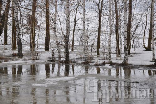 Синоптиклар мартның нинди булачагын фаразлады