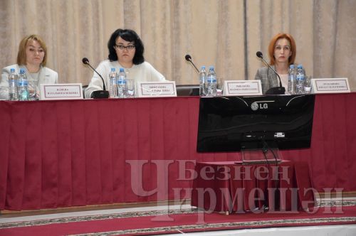 Чирмешәндә мәдәният хезмәткәрләренең зона семинары үтте