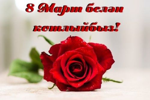 “Энерготехсервис” җәмгыяте җитәкчесе  хатын-кызларны бәйрәм белән котлады