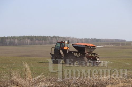“БИО-АГРО” җәмгыятендә арпа чәчә башлыйлар