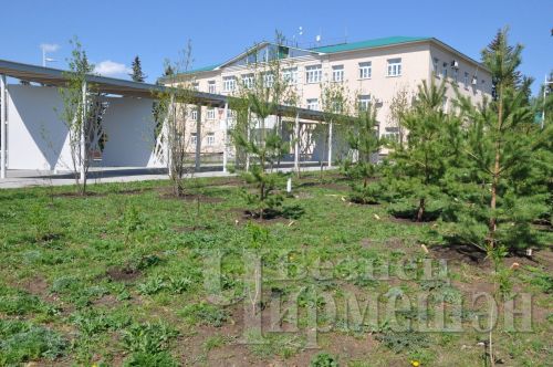 Чирмешәннең Совет урамында шомыртлар чәчәк атачак