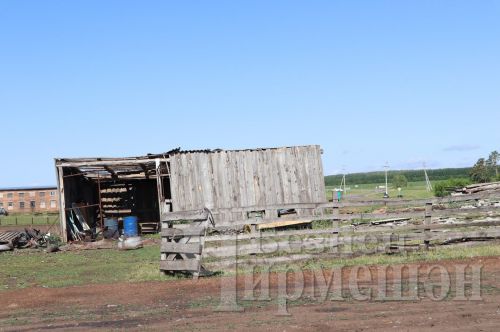 Яңа Элмәледә көчле җил йортларның түбәләрен кузгатты