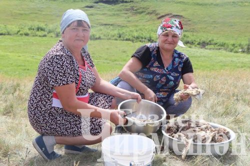 На празднике «Учук» в Новом Ильмове просили дождя