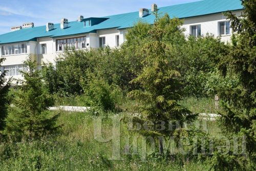 Чирмешәннең күп фатирлы кайбер йортлар тирәсен агач-куаклар басып киткән