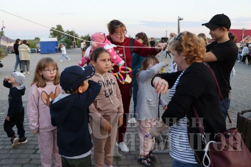 В День молодежи в Черемшане наградили и активистов