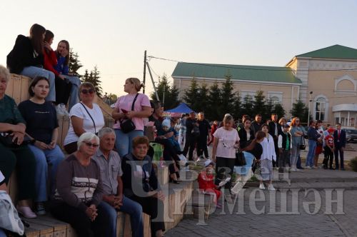 Чирмешәндә үткән Яшьләр көнендә активистларны да бүләкләделәр