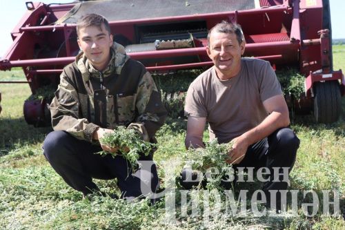 “Ильхан”да сенаж салалар