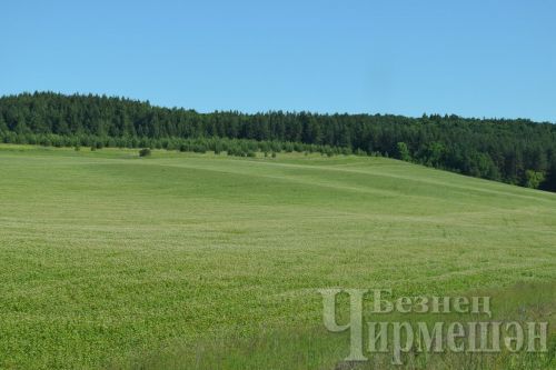 Чирмешән районында май аенда уртача 2,2 миллиметр яңгыр яуган