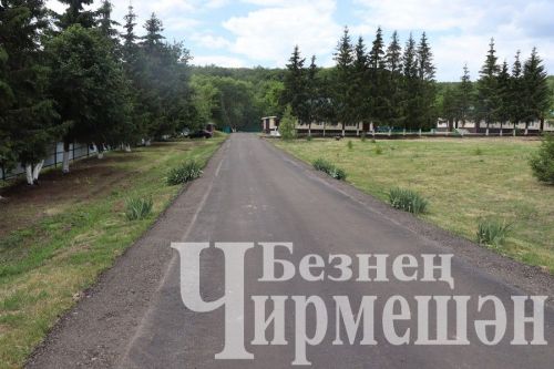 “Кояшлы” кунаклар көтә