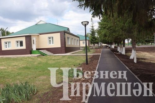“Кояшлы” кунаклар көтә