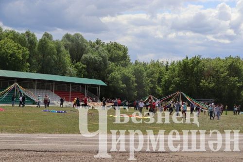 Чирмешәндә Сабан туе батырына квадроцикл бүләк итмәкчеләр
