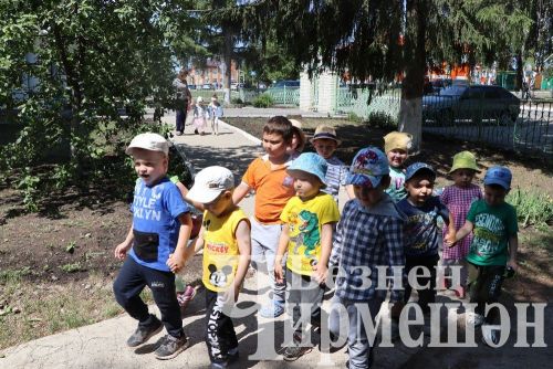 В Черемшанском районе прошел первый Сабантуй