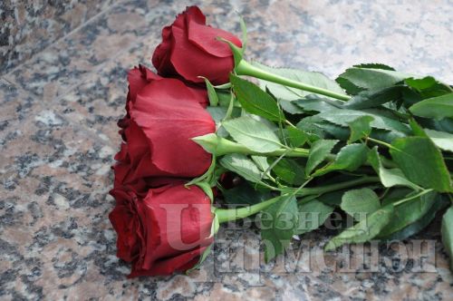 Чирмешәндә ТАССРның элеккеге прокуроры Идият Хәмидуллинга бюст ачылды