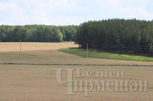 Татарстанга июль һава торышы кайта