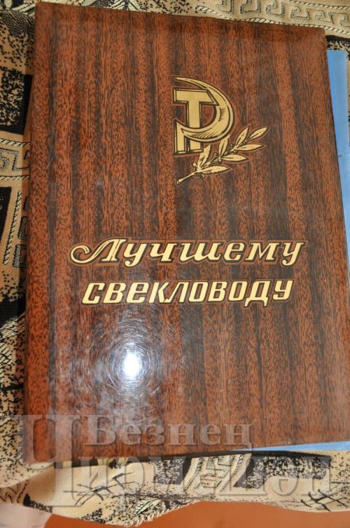 Әмир авылыннан Талиповлар 60 ел бергә яшиләр