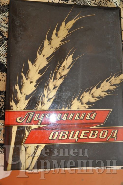 Әмир авылыннан Талиповлар 60 ел бергә яшиләр