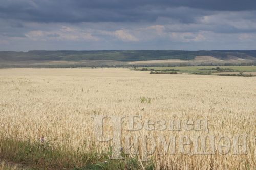 Былтыргы чемпион быел да өлгер эшли