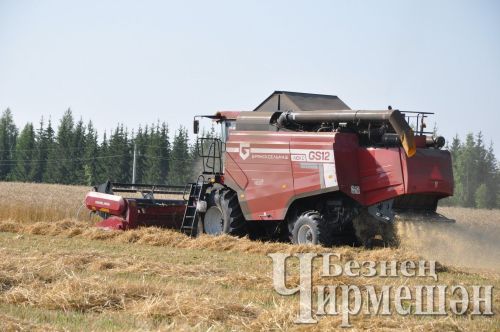 “Сөлчә” җәмгыяте кышкы чорга җитәрлек мал азыгы әзерләгән