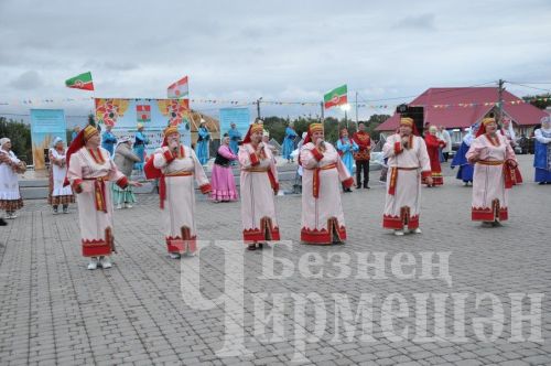 Черемшанцы с размахом отметили День Республики