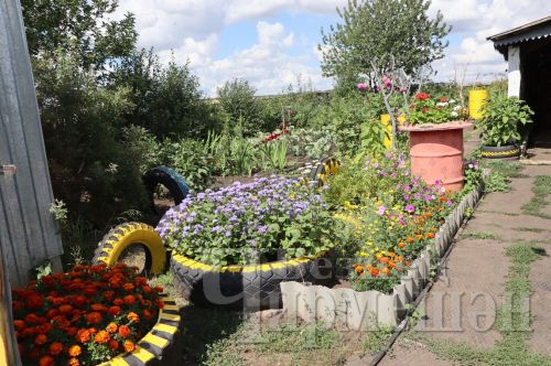 Матягиннарның йорт яны – Күтәмәдә иң матуры