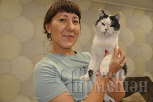 Чирмешәндә яшәүче Алевтина Андреева мәчеләр өчен районда приют ачарга хыяллана