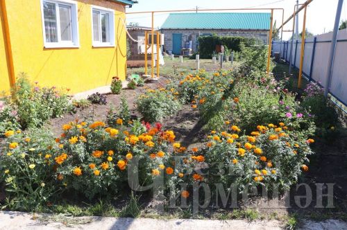 Иске Котышка кайткан гаилә моннан китәргә җыенмый