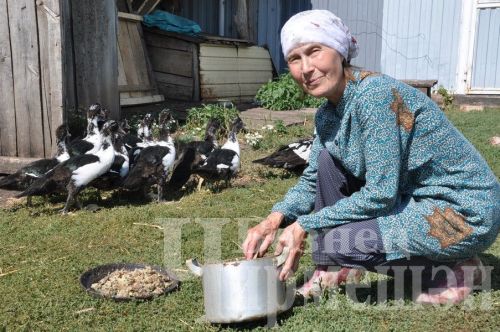 Мәскәүдәге квартирасын “япкан” Наҗия Хафизова Иске Кадига күчеп кайткан
