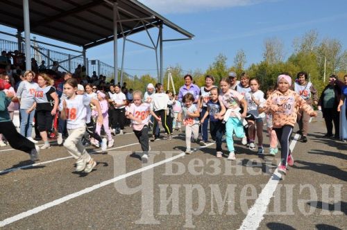 Чирмешән районы башкарма комитеты җитәкчесен уза алмадылар
