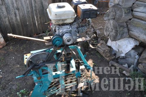 Ульяновка авылыннан Ефремовлар гаиләсендә дүрт яшьлек Тимур да эшли