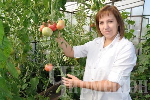 Ульяновка авылыннан Ефремовлар гаиләсендә дүрт яшьлек Тимур да эшли