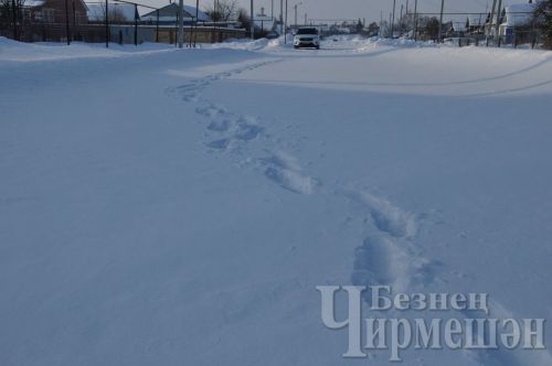Чирмешән районында уртача явым-төшем күләме 57 сантиметрга җиткән