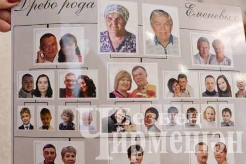 Девичья Полянада иң өлкән кеше Матрена Еменева юбилеен үткәрде
