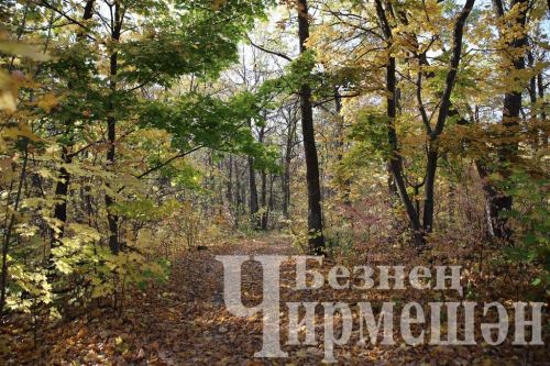 Татарстанда +4 градус җылы һава торышы көтелә