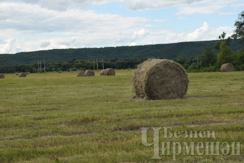Татарстанда җылы һава торышы саклана әле
