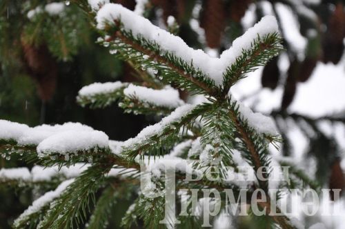 Татарстанда яңгыр, җепшек кар һәм көчле җил көтелә