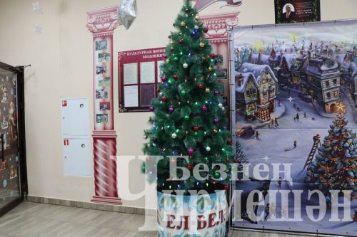 Белгеч чыршы бизәү буенча киңәшләре белән бүлешкән