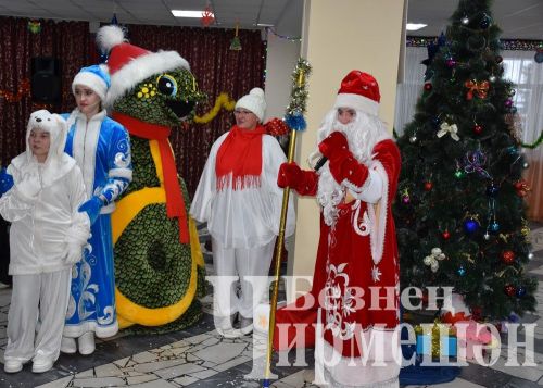 В Черемшане особенным детям Дед Мороз принес подарки