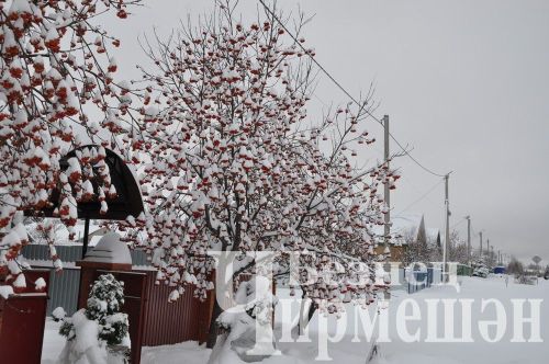 Татарстанда көчле җил көтелә